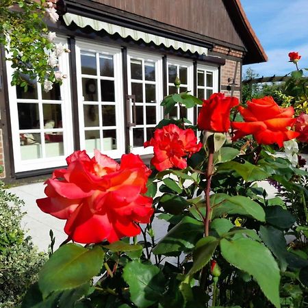 Ferienhaus Gartower See Exterior foto