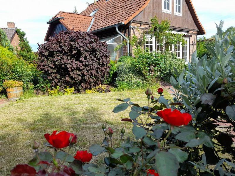 Ferienhaus Gartower See Exterior foto